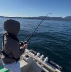 Klicken Sie auf das Bild für volle Größe