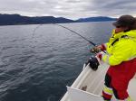 Klikk på bildet for full størrelse
