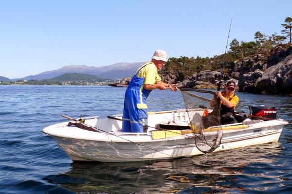 Bild klicken fr volle Gre