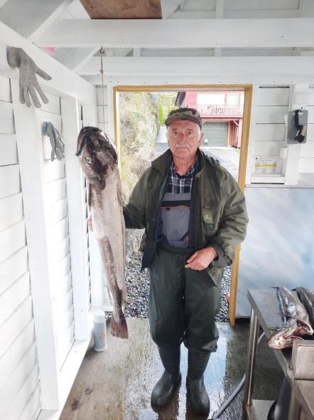 Bild klicken fr volle Gre