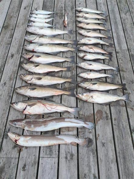 Bild klicken fr volle Gre