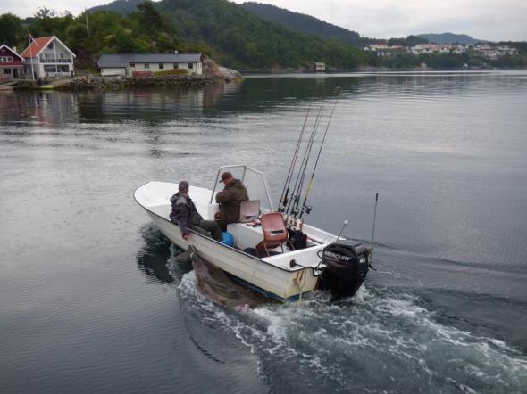 Bild klicken fr volle Gre