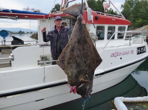 Bild klicken fr volle Gre