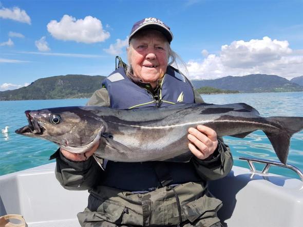 Bild klicken fr volle Gre