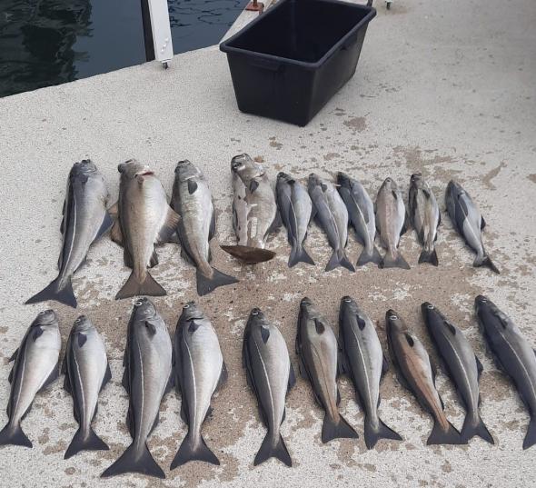 Bild klicken fr volle Gre