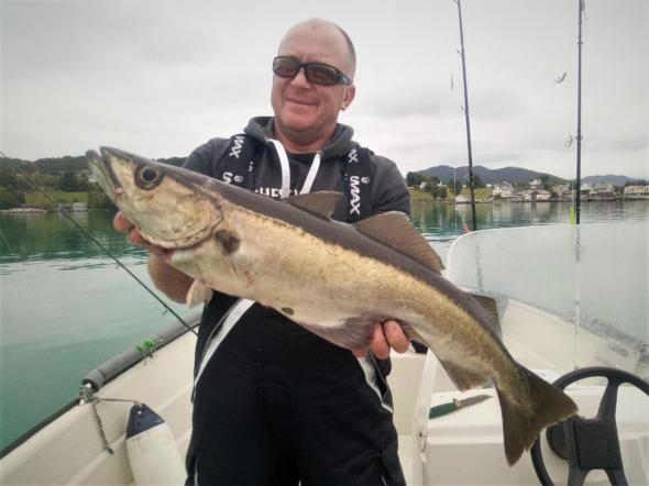 Bild klicken fr volle Gre