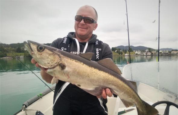 Bild klicken fr volle Gre