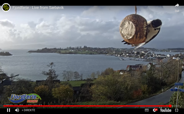 Bild klicken fr volle Gre