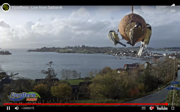 Bild klicken fr volle Gre