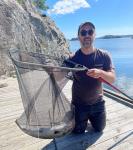 Bild klicken fr volle Gre